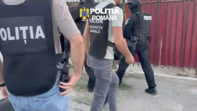 Trei bărbați din Brașov, reținuți pentru furtul a 200 de baloți de lucernă din Bod