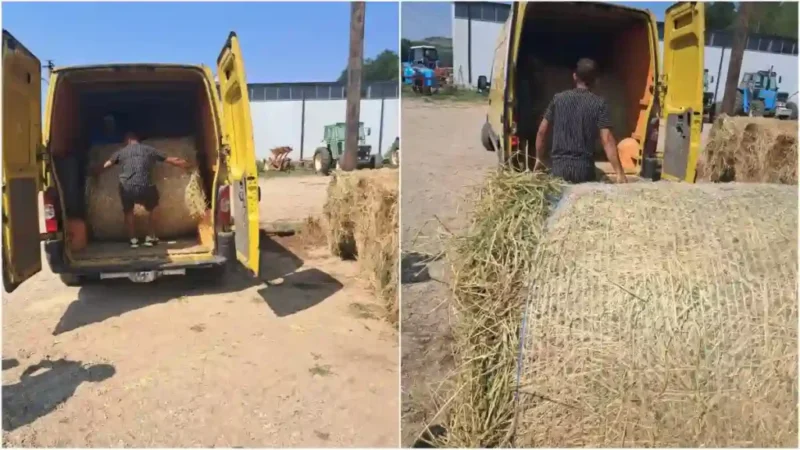 Trei persoane din Sibiu surprinse de camerele de supraveghere furând baloți de lucernă din comuna Fărău