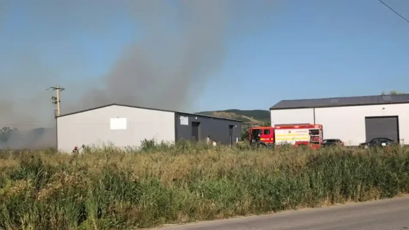 VIDEO | Pompierii din Alba Iulia intervin la un incendiu de vegetație uscată în Drâmbar