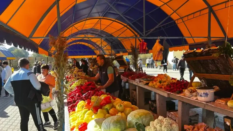 20 septembrie 2026 | „Comorile Toamnei” la Blaj: sărbătoare a recoltelor, hărniciei și folclorului românesc. Programul complet
