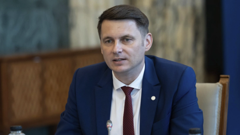 2029, Anul Doina Cornea: Proiect aprobat de Senat