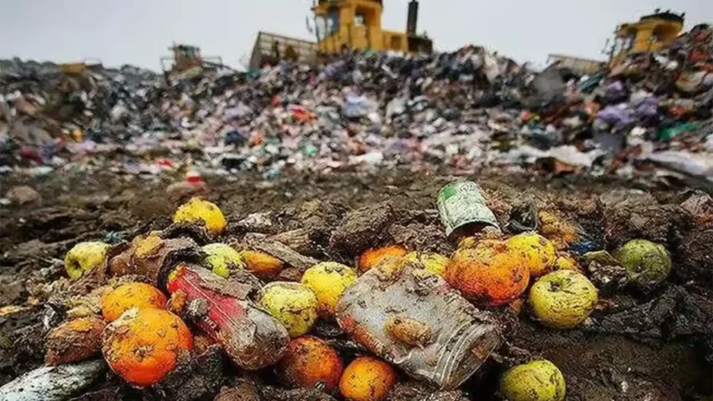 Acțiuni DSVSA Alba pentru reducerea risipei alimentare