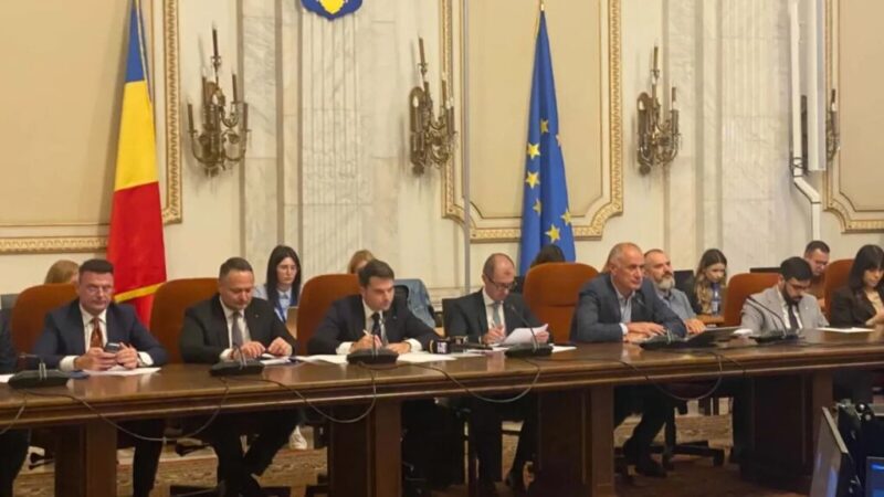 Burduja Primește Aviz Negativ pentru Ministerul Energiei