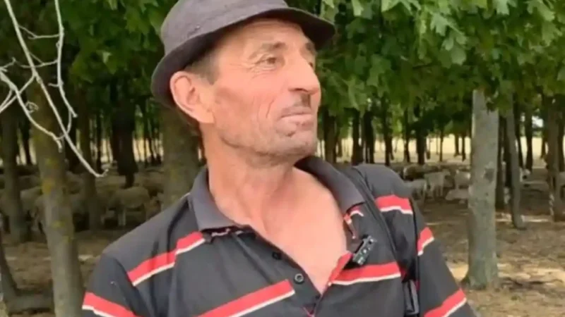 Cioban din Vaslui găsește o dronă avariată la 30 km de granița cu Republica Moldova: „Nu mai văzusem așa ceva. Țiuia și becurile se aprindeau. Am deconectat firele și s-a oprit”