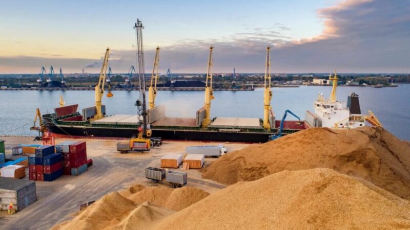 Constanța devine hub pentru exportul cerealelor ucrainene: România își intensifică eforturile spre piețele din Africa și Orientul Mijlociu