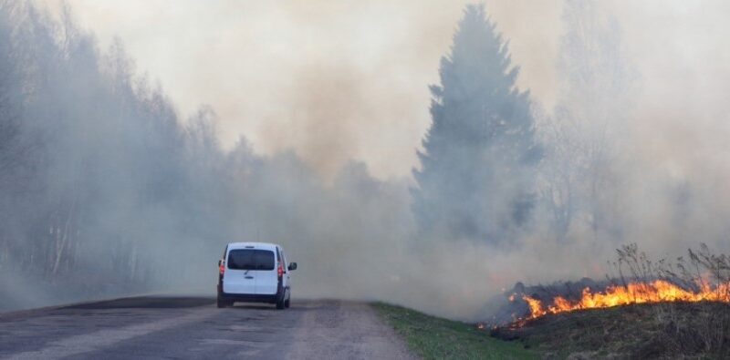 Cum să reacționezi când un incendiu de vegetație te surprinde cu copiii în mașină: Regulile esențiale pentru a-ți salva viața