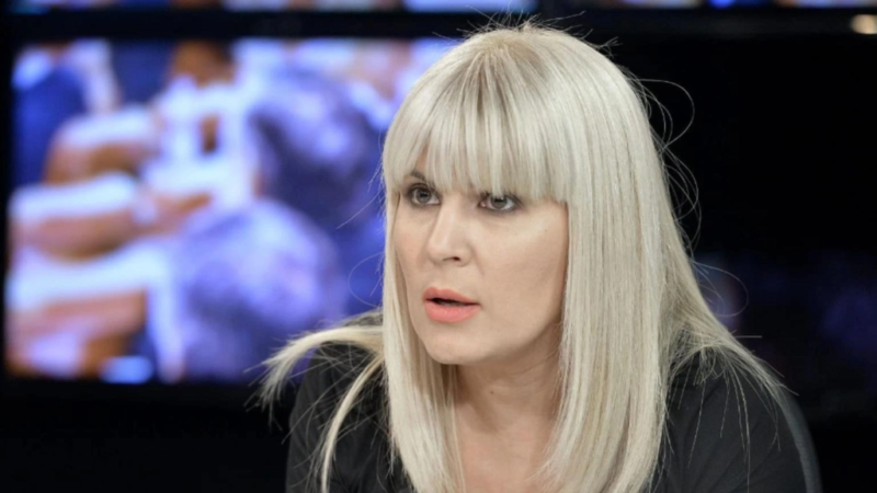 Elena Udrea Acuză: Siegfried Mureșan Știa de Finanțare