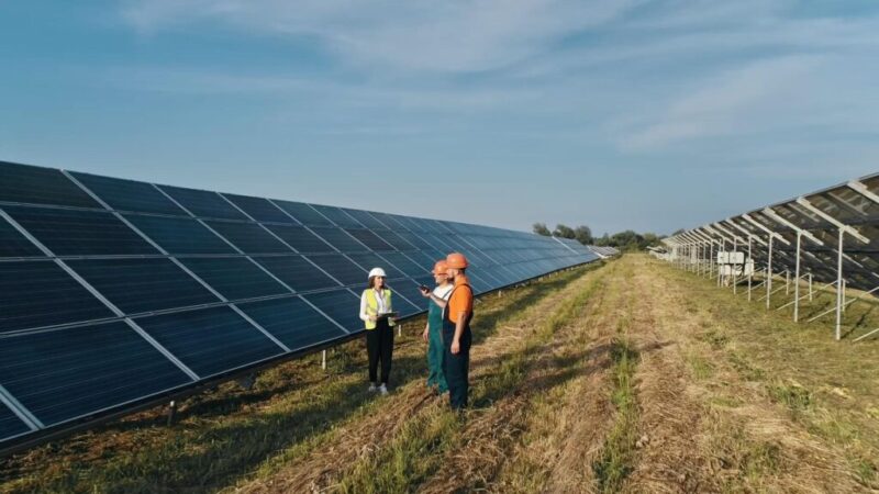 Făgărașul face pași importanți spre energia verde. Primăria dezvoltă noi proiecte pentru producerea și stocarea energiei, după ce a finalizat contractarea unui parc fotovoltaic de 2 MW