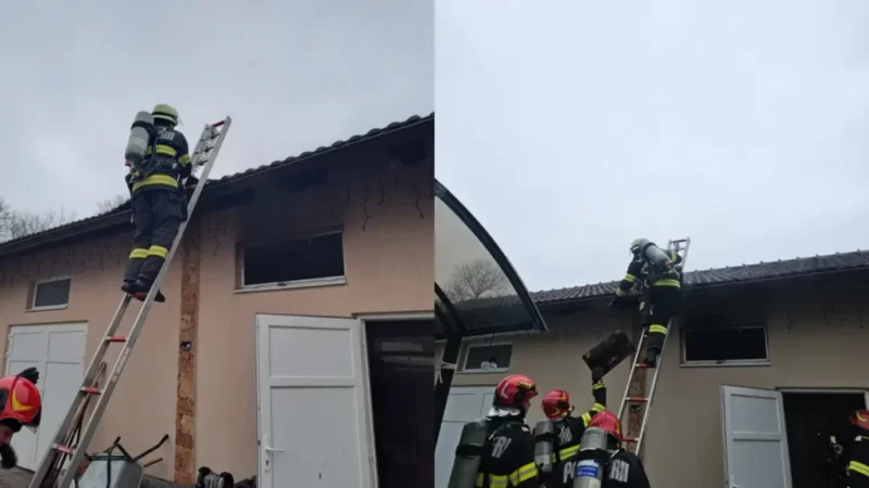 Flăcări în Micești: Incendiu la o anexă gospodărească din Alba Iulia