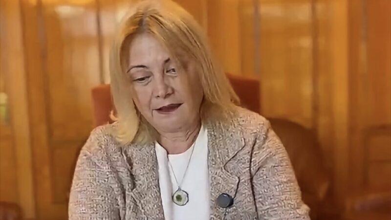 Fosta prefectă de Timiș reținută pentru fraude cu fonduri UE