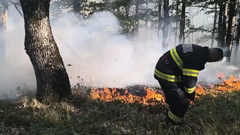 Incendiu în Șugag: Flăcări mistuind litiera de pădure din zona Curmături
