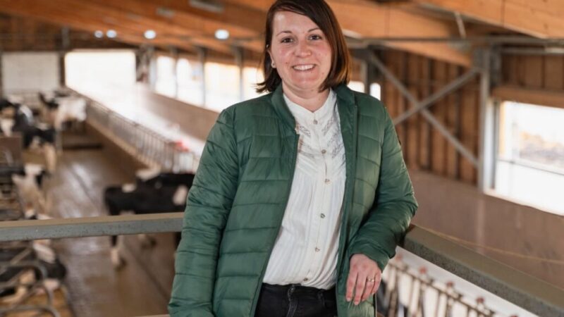 La Tușnad, inovațiile tehnologice transformă activitatea unei ferme de bovine