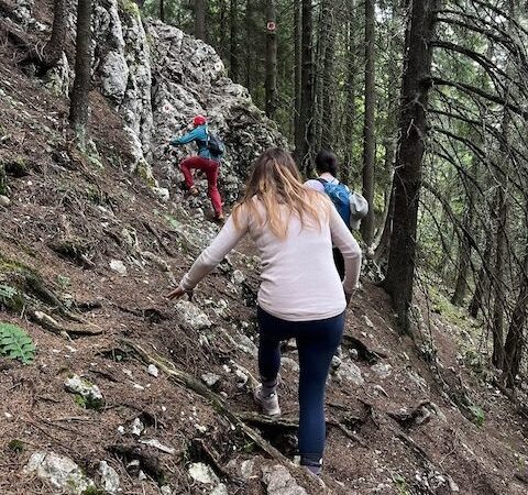 Modernizări și Intervenții Salvamont în Piatra Craiului