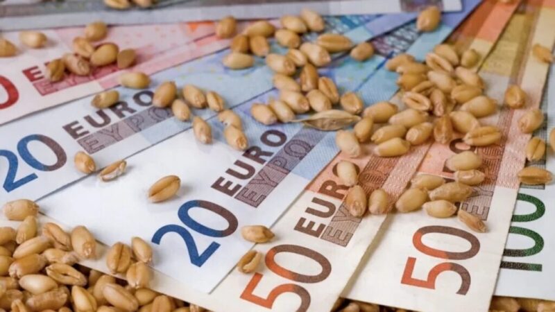 Prețurile cerealelor cresc pe fondul producției reduse