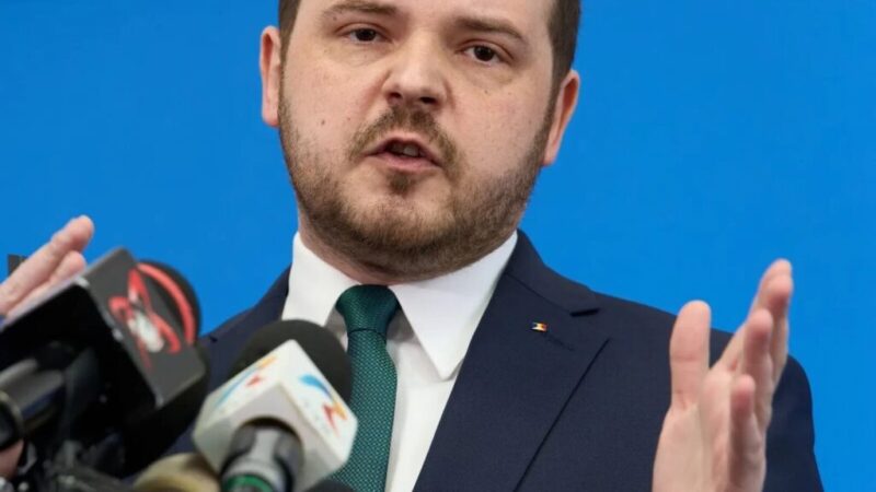 Rogobete Critică Aspru Guvernul Mureșan