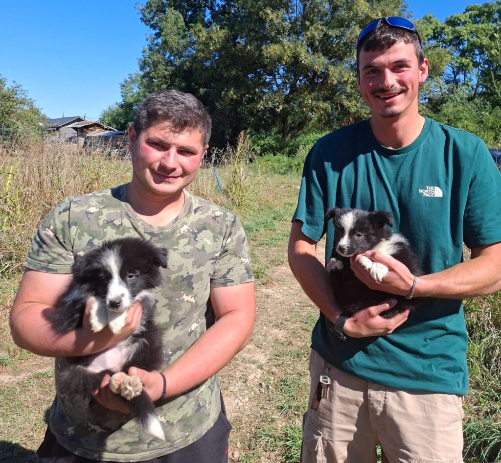 Salvamont Brașov Își Creează Prima Unitate Canină