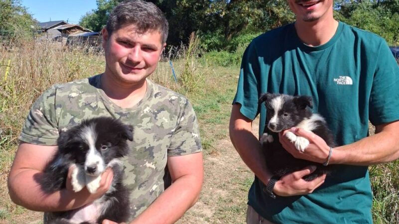 Salvamont Brașov Își Dezvoltă Prima Unitate Canină
