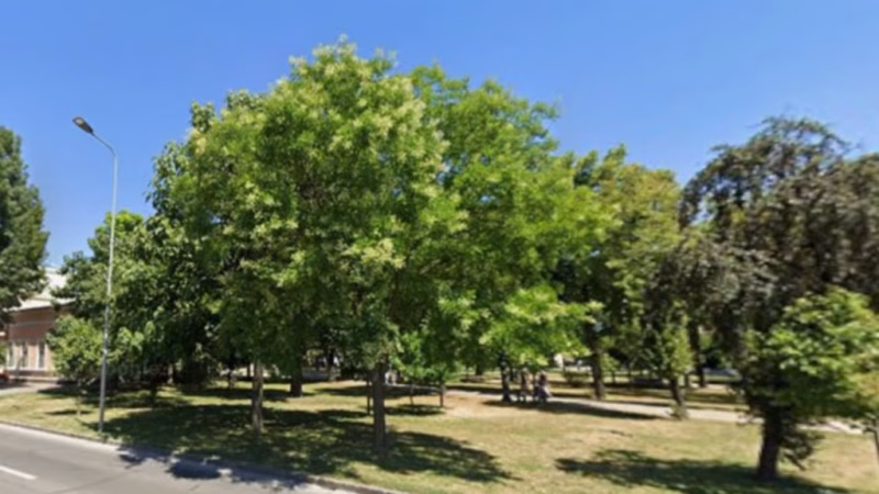 Sisteme de Irigații Moderne în Parcurile din Alba Iulia