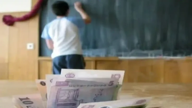 Sunt încă valabile cardurile educaționale pentru anul școlar 2025-2026? Informații oficiale recente