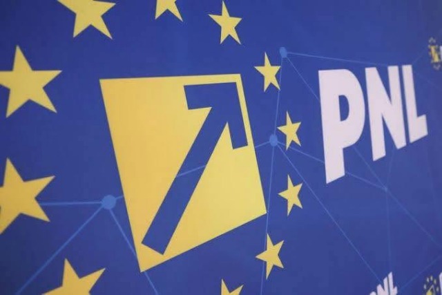 PNL analizează programul lui Luca Niculescu